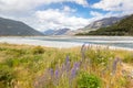 riverbed landscape scenery Arthur's pass in south New Zealand Royalty Free Stock Photo