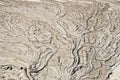 Riverbed mud texture Royalty Free Stock Photo
