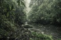 Riverbed with rain in the middle of the green vegetation of the tropical jungle of Costa Rica