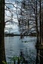 Riverhills Park on the Hillsbourgh River