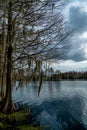 Riverhills Park on the Hillsbourgh River