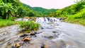 Rivers in big forests are abundant. Royalty Free Stock Photo