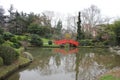 Rivers in japanese garden