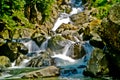Beautiful nature river and forest, west java, Indonesia. Royalty Free Stock Photo