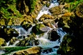 Beautiful nature river and forest, west java, Indonesia. Royalty Free Stock Photo