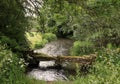 Rivers - River Windrush flowing under a stone footbridge