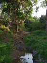 Rivers, trees, nature, sunset, rock, and me