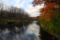 Riverside Autum Colored Trees in Illinois II Royalty Free Stock Photo