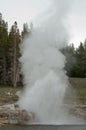 Riverside Geyser eruption  in Yellowstone National Park, USA Royalty Free Stock Photo