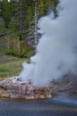 Riverside Geyser eruption in Yellowstone National Park, USA Royalty Free Stock Photo