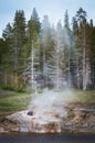 Riverside Geyser eruption in Yellowstone National Park, USA Royalty Free Stock Photo