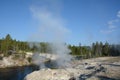 riverside geysers in Yellowstone National Park