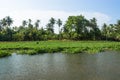 Riverside landscape