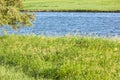 Riverside landscape of summer