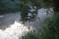 Riverside Oasis: Flourishing Flora Along Wild River Banks Royalty Free Stock Photo