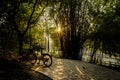 Riverside path in trees of late afternoon Royalty Free Stock Photo