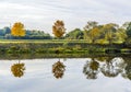 Riverside scene with trees that are reflected in the river Tauber Royalty Free Stock Photo