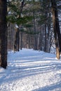 Riverside trail in William OBrien State Park during winter in Minnesota