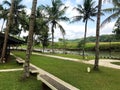 Riverside view with some coconut trees