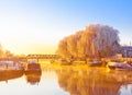 Riverside in winter morning Royalty Free Stock Photo