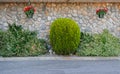 Riverstone wall with decorative bushes and hanging flower pot Royalty Free Stock Photo