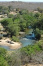 Riverview with hippos Royalty Free Stock Photo