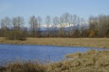 Riverview Wildlife Refuge in Snohomish Royalty Free Stock Photo