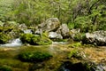 Riverway Overgrow With Green Paint in Mountain Royalty Free Stock Photo