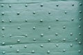 Rivets on a teal painted front door