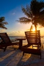 Riviera Maya sunrise beach hammocks Royalty Free Stock Photo