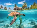 Riviera Maya turtles photomount on Caribbean Royalty Free Stock Photo