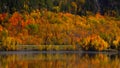Riviere Saint Maurice in autumn time near Grand Mere in Quebec province. Royalty Free Stock Photo