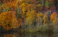 Riviere Saint Maurice in autumn time near Grandes Piles in Quebec province. Royalty Free Stock Photo