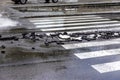 Ãâriving car on flooded road during flood caused by torrential rains. Cars float on water, flooding streets. Splash on car.