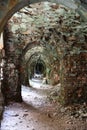 RIVNE, UKRAINE - SEPTEMBER 16, 2023 Ruins of the Tarakaniv Fort or Dubno Fort New Castle. Defense architectural monument