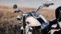 Rivne, Ukraine - September 23, 2019: Harley-Davidson Fat Boy motorcycle detail. Royalty Free Stock Photo