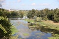 RIVNE, UKRAINE - SEPTEMBER 16, 2023 View of the Ikva River near the Dubno Castle. Top view of green lotus leaves in a