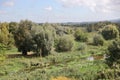 RIVNE, UKRAINE - SEPTEMBER 16, 2023 View of the Ikva River near the Dubno Castle. Top view of green lotus leaves in a