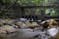 Rivulet and stone bridge in Shing Mun Reservoir