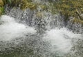 Rivulet Waterfall Cascade