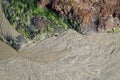 Rivulets in sand along side rock formation covered with marine plants at Shaws Cove Beach. in Laguna Beach, California. Royalty Free Stock Photo