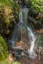 Rivulette Water over the Rocks in the Forest