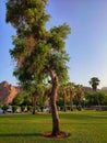 Riyam park, Muscat Oman Royalty Free Stock Photo