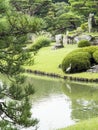 Riykugien Garden pond, Tokyo Royalty Free Stock Photo