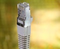 RJ45 connector to connect computers to the Internet and the gold Royalty Free Stock Photo