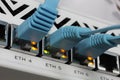 RJ45 Lan cable connected to switch. Royalty Free Stock Photo