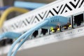 RJ45 Lan cable connected to switch. Royalty Free Stock Photo