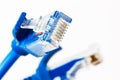 RJ 45 network cable on white background