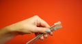 RJ45 network connector on a red background in well-groomed female hands Royalty Free Stock Photo