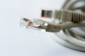 Rj45 connector cables Royalty Free Stock Photo